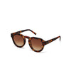 Okkia Zeno Havana/ Brown Sunglasses